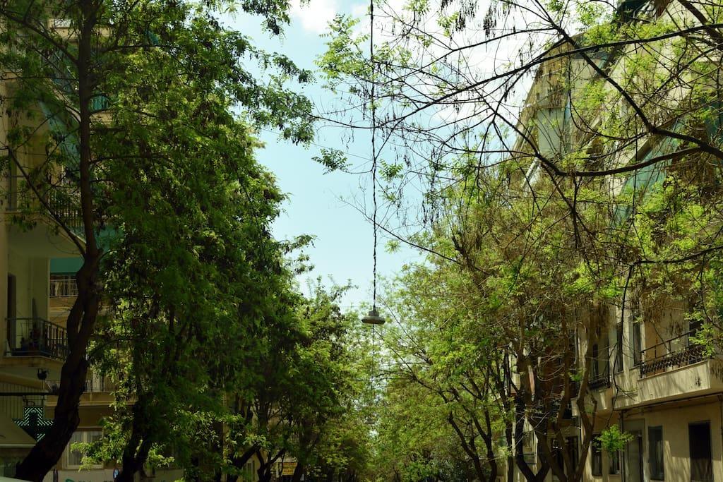 أثينا Blue & Red Apartment المظهر الخارجي الصورة